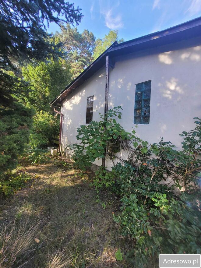 Działka rod Poznań Stare Miasto, ul. Wrzesińska. Zdjęcie 1