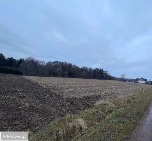 Działka rolno-budowlana Osiek. Zdjęcie 1