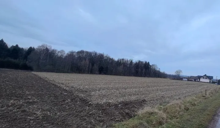 Działka budowlana Osiek