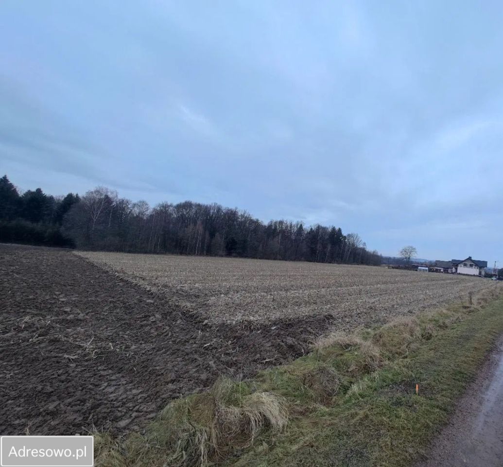 Działka rolno-budowlana Osiek. Zdjęcie 1