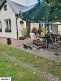 dom wolnostojący, 2 pokoje Lublin Zemborzyce, ul. Roślinna. Zdjęcie 3