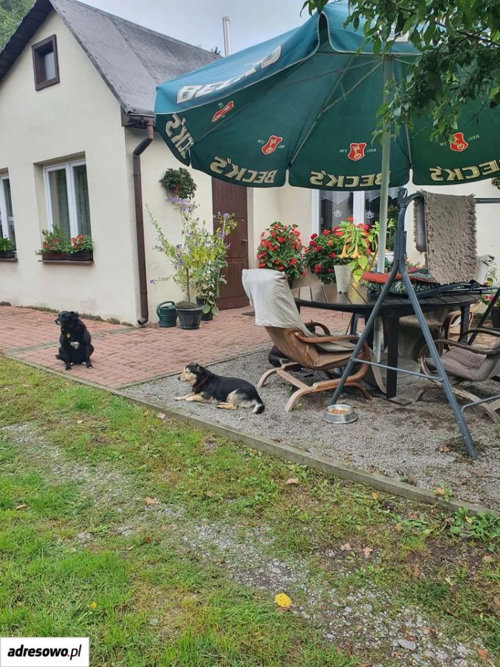 dom wolnostojący, 2 pokoje Lublin Zemborzyce, ul. Roślinna. Zdjęcie 4