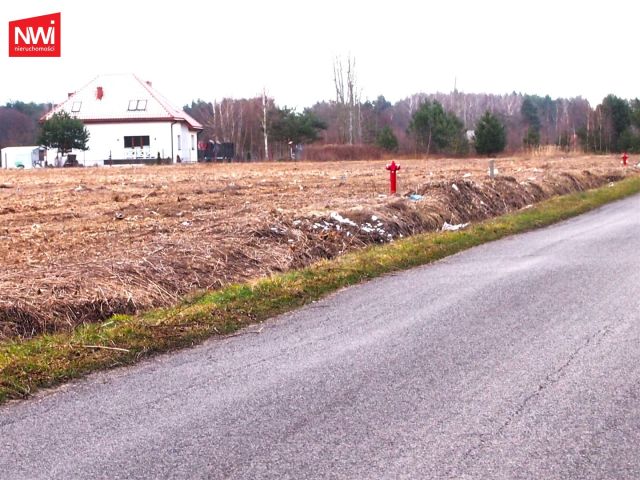 Działka budowlana Pustelnik. Zdjęcie 4