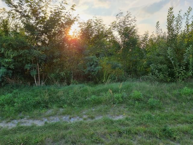 Działka budowlana Zaborówek. Zdjęcie 4