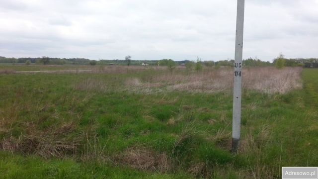 Działka rolna Wólka Iłówiecka. Zdjęcie 1