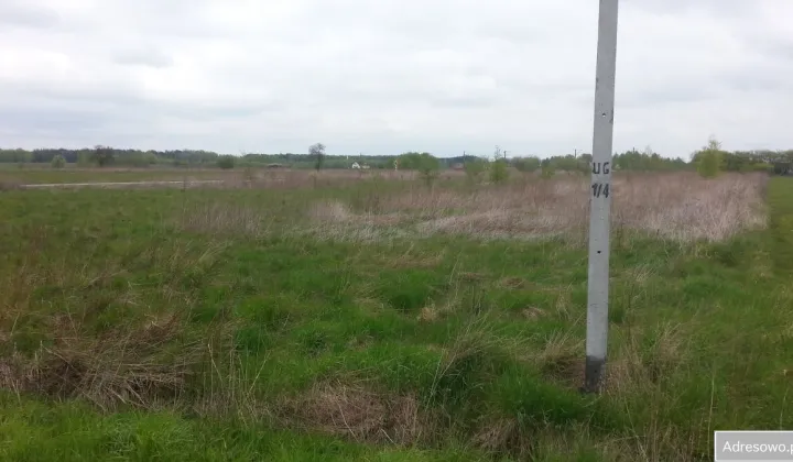 Działka rolna Wólka Iłówiecka