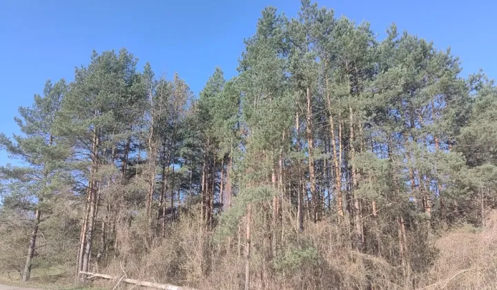 Działka budowlana Ostrowiec Świętokrzyski, ul. Tomaszów