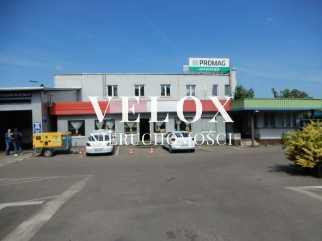 Lokal Szczecin Śródmieście, ul. Gdańska. Zdjęcie 4