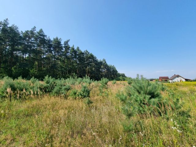 Działka budowlana Bagno. Zdjęcie 10