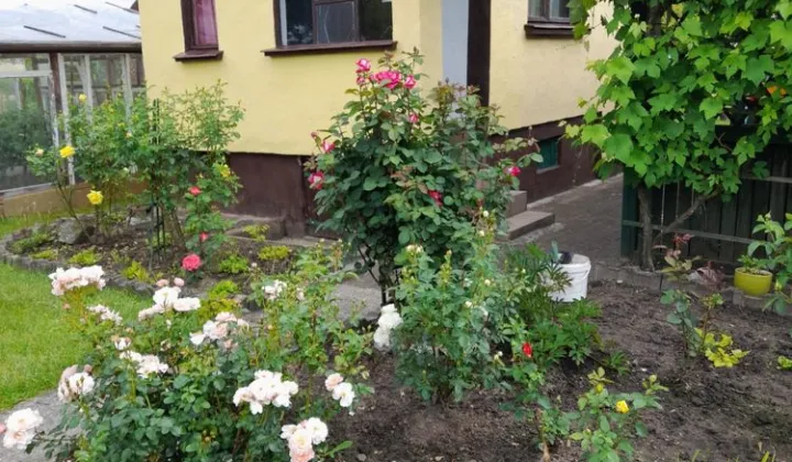 Działka rod Piła, ul. Koszalińska