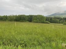 Działka budowlana Ptaszkowa. Zdjęcie 3