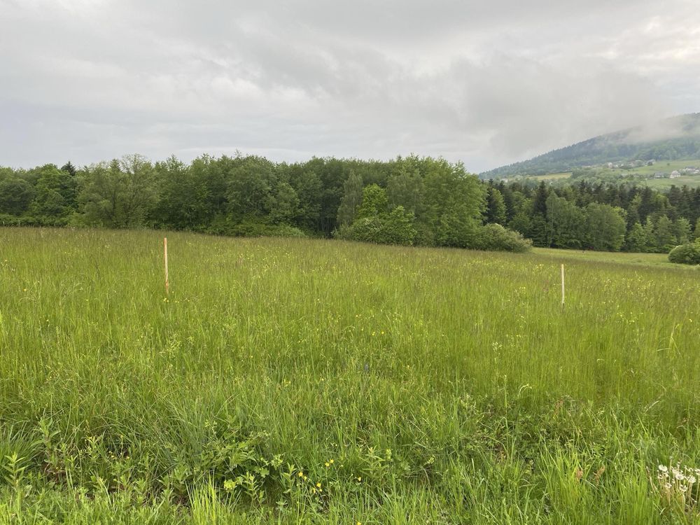 Działka budowlana Ptaszkowa. Zdjęcie 4