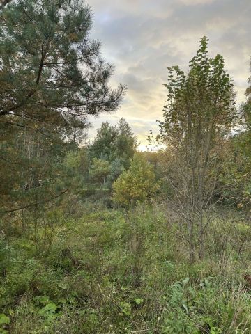 Działka budowlana Starogard Gdański. Zdjęcie 1