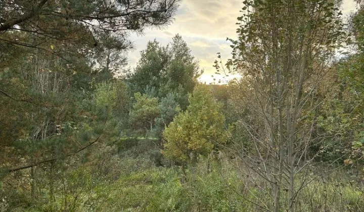 Działka budowlana Starogard Gdański