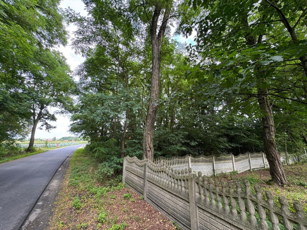 Działka budowlana Jankowa. Zdjęcie 6