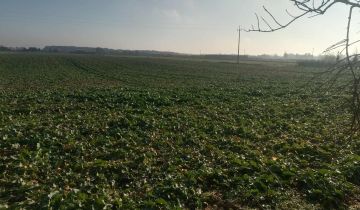 Działka rolna Mochle