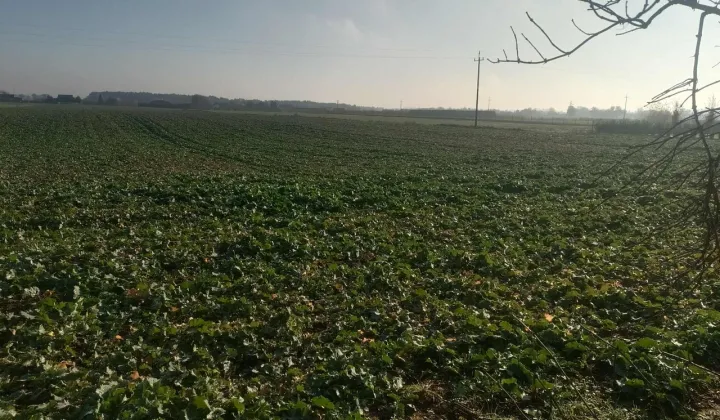 Działka rolna Mochle