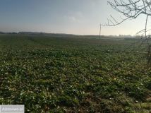 Działka rolna Mochle