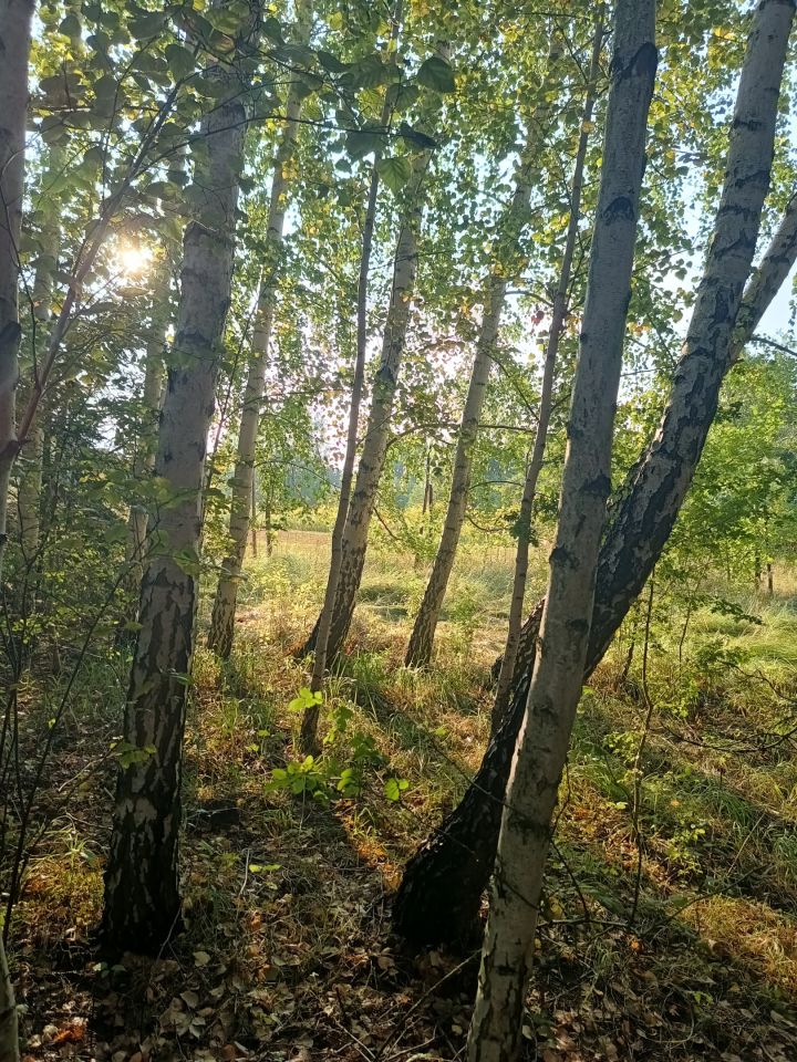 dom wolnostojący, 9 pokoi Boża Wola, ul. Stokrotek. Zdjęcie 5