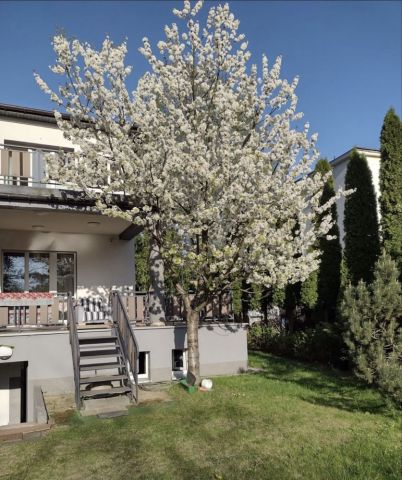 Pokój Łódź Bałuty. Zdjęcie 1