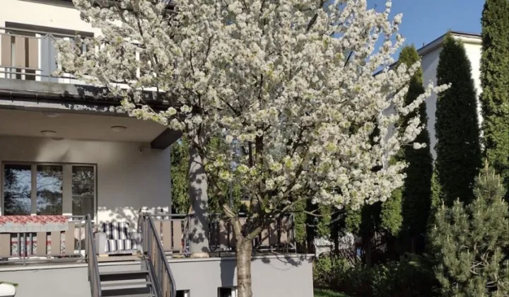 Pokój Łódź Bałuty