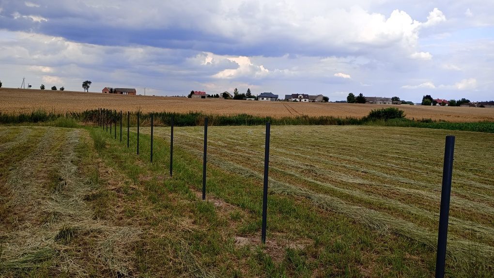 Działka budowlana Dobierzyn. Zdjęcie 2