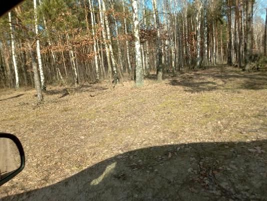 Działka rolna Rumunki Tupadelskie. Zdjęcie 2