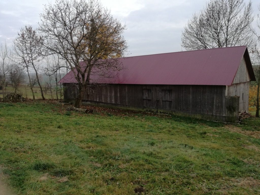 Działka rolno-budowlana Janówka Zachodnia. Zdjęcie 15