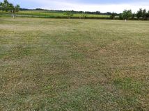 Działka rolna Czarnowo. Zdjęcie 2