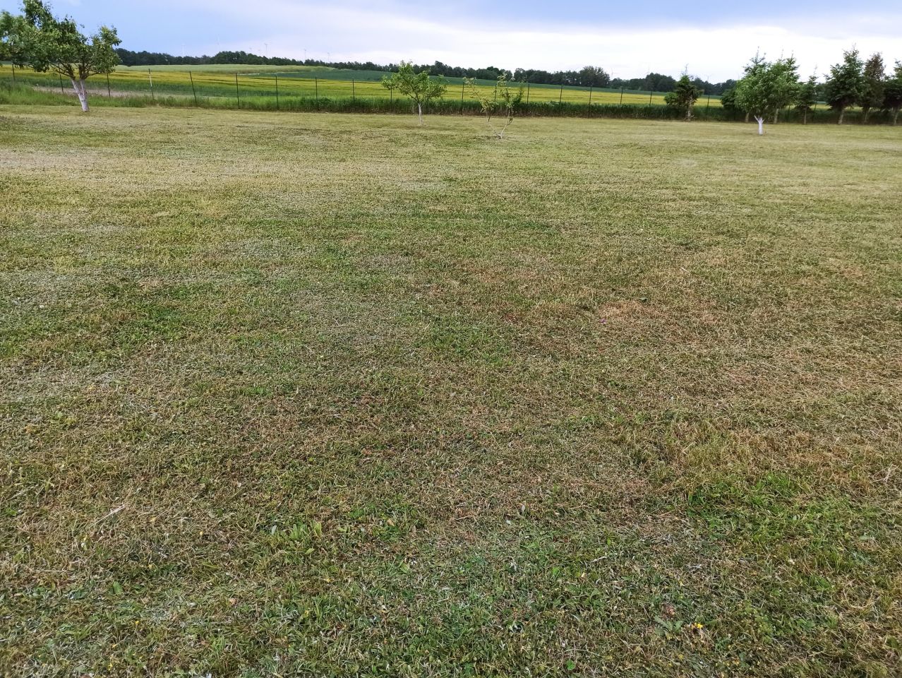 Działka rolna Czarnowo. Zdjęcie 3