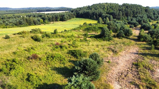 Działka rekreacyjna Złoty Potok. Zdjęcie 9