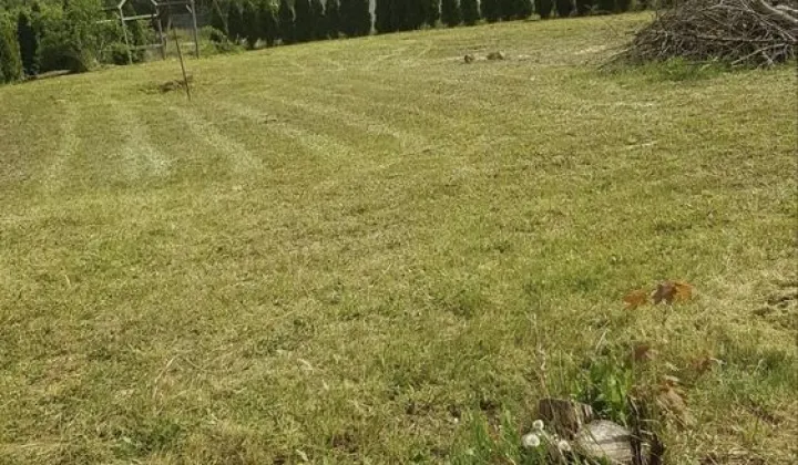 Działka rolno-budowlana Dobino