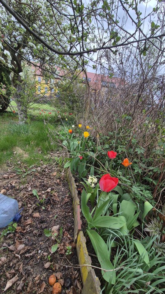 Działka rekreacyjna Kostrzyn nad Odrą Osiedle Leśne, ul. Sportowa. Zdjęcie 1