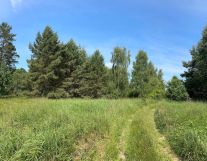 Działka rolna Trzebule. Zdjęcie 3