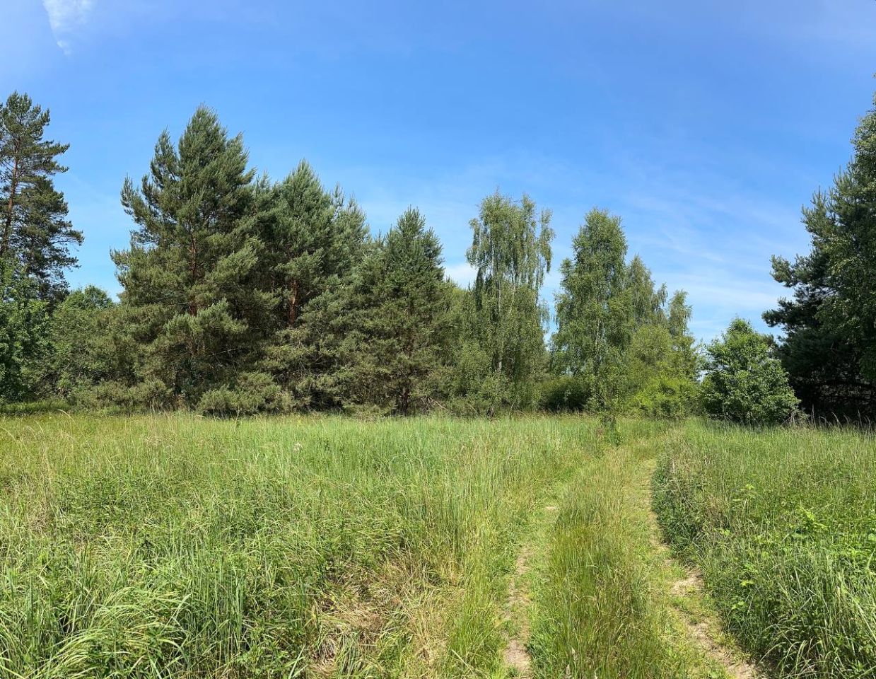 Działka rolna Trzebule. Zdjęcie 4