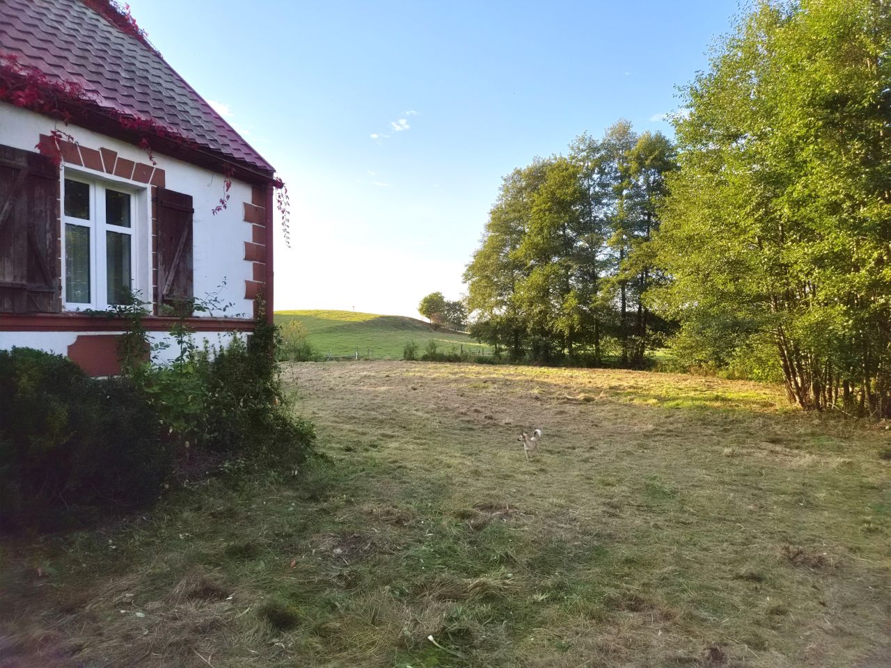 siedlisko, 4 pokoje Prosino. Zdjęcie 5