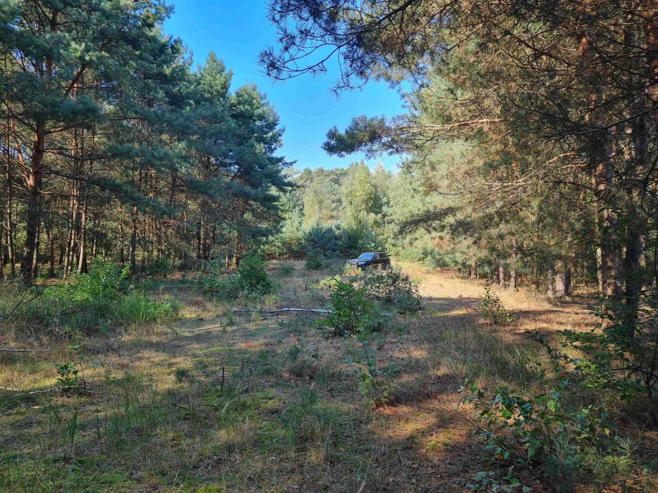 Działka budowlana Karczewo. Zdjęcie 8