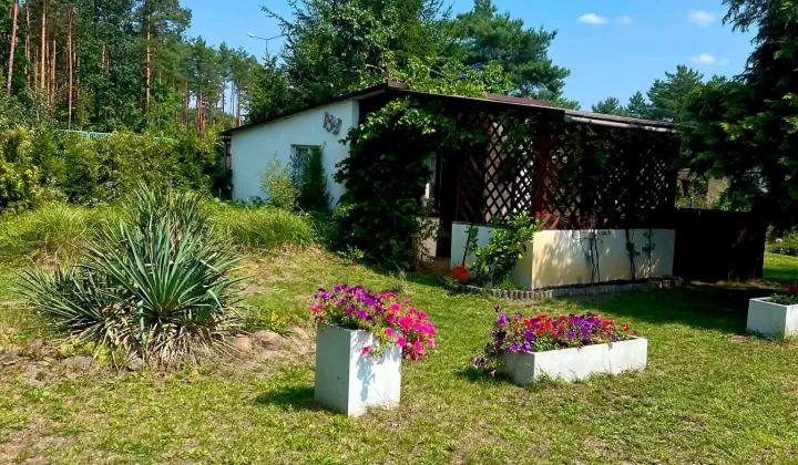 Działka rod Nowa Sól Zatorze, ul. Chałubińskiego
