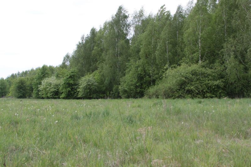 Działka budowlana Gąski, ul. Górna. Zdjęcie 8