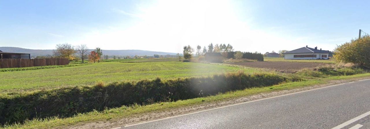 Działka rolna Sarnia Zwola. Zdjęcie 2