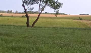 Działka rolna Ryszkowa Wola Pocholaje