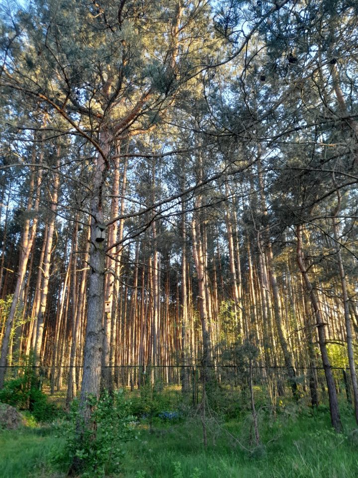 gospodarstwo, 7 pokoi Łazisko Brzezina. Zdjęcie 26