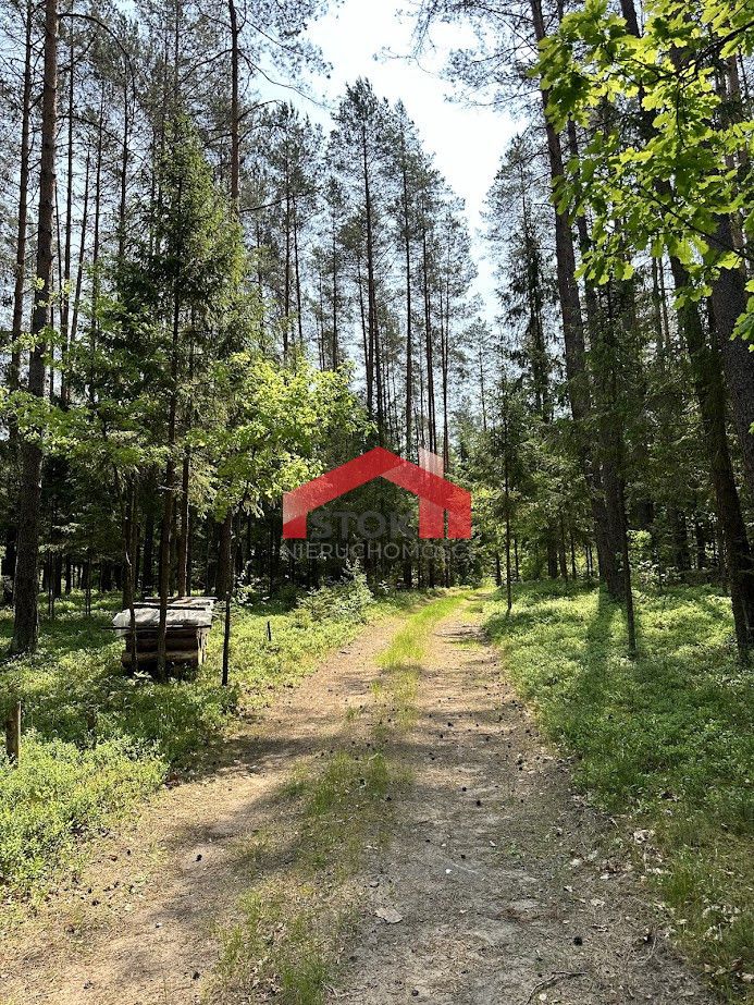 Działka leśna Rudnica. Zdjęcie 5