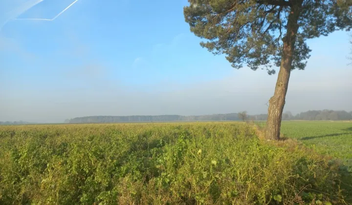 Działka rolna Fajnów