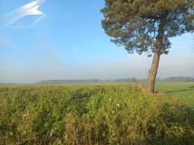 Działka rolna Fajnów