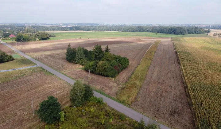 Działka rolno-budowlana Moszna-Kolonia