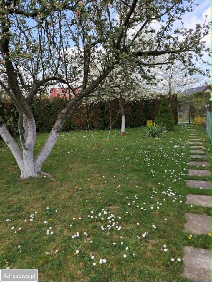 Działka rod Tarnów, ul. Łyczków. Zdjęcie 3