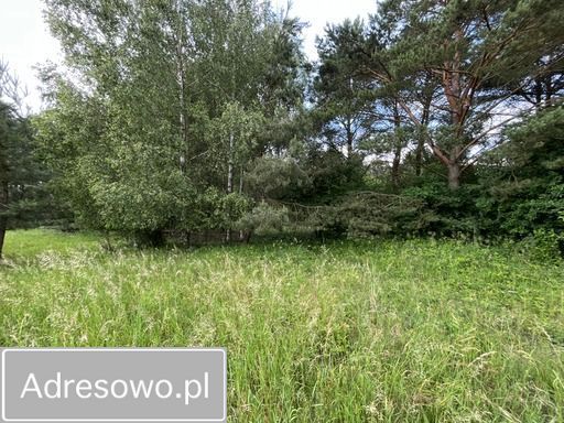 Działka Krosinko. Zdjęcie 6