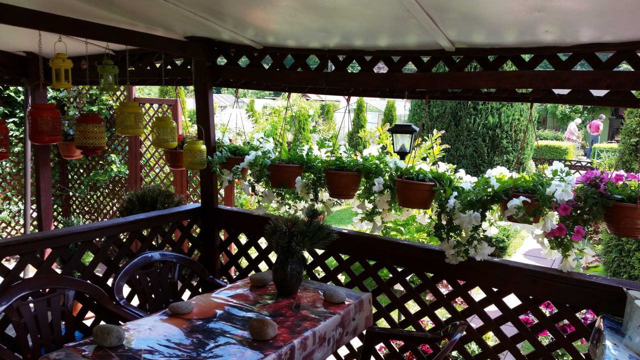 Działka rod Stare Bielice. Zdjęcie 3