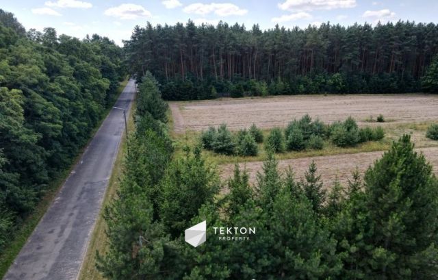 Działka rolna Zagóźdź. Zdjęcie 3